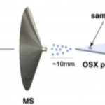 Figure 1. OSX as a spray material for ambient ionization MS.